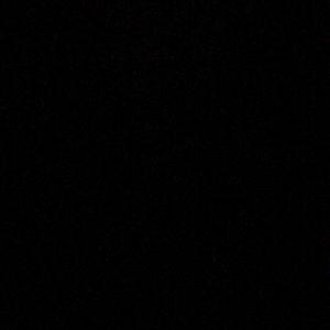 Meet your Posher, Frankie